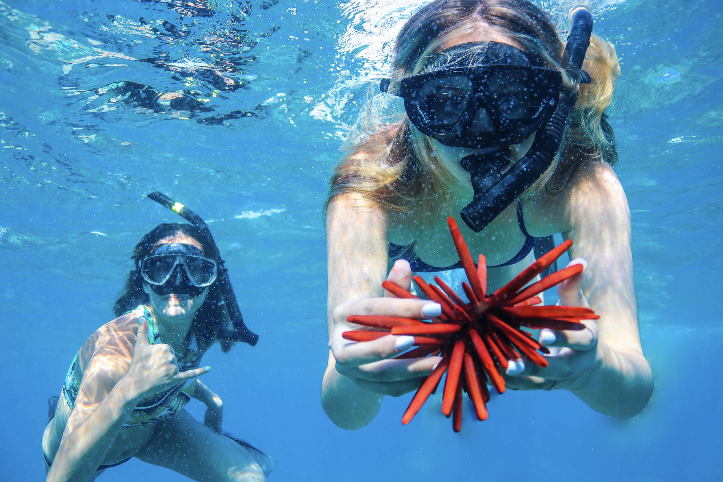 13 Things To Do On Oahu: A One Week Island Itinerary
