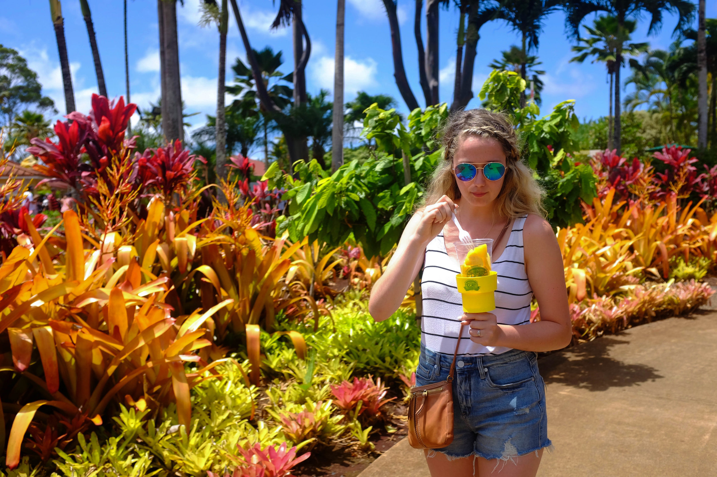Dole Plantation - 13 Things To Do On Oahu | Kaci Nicole