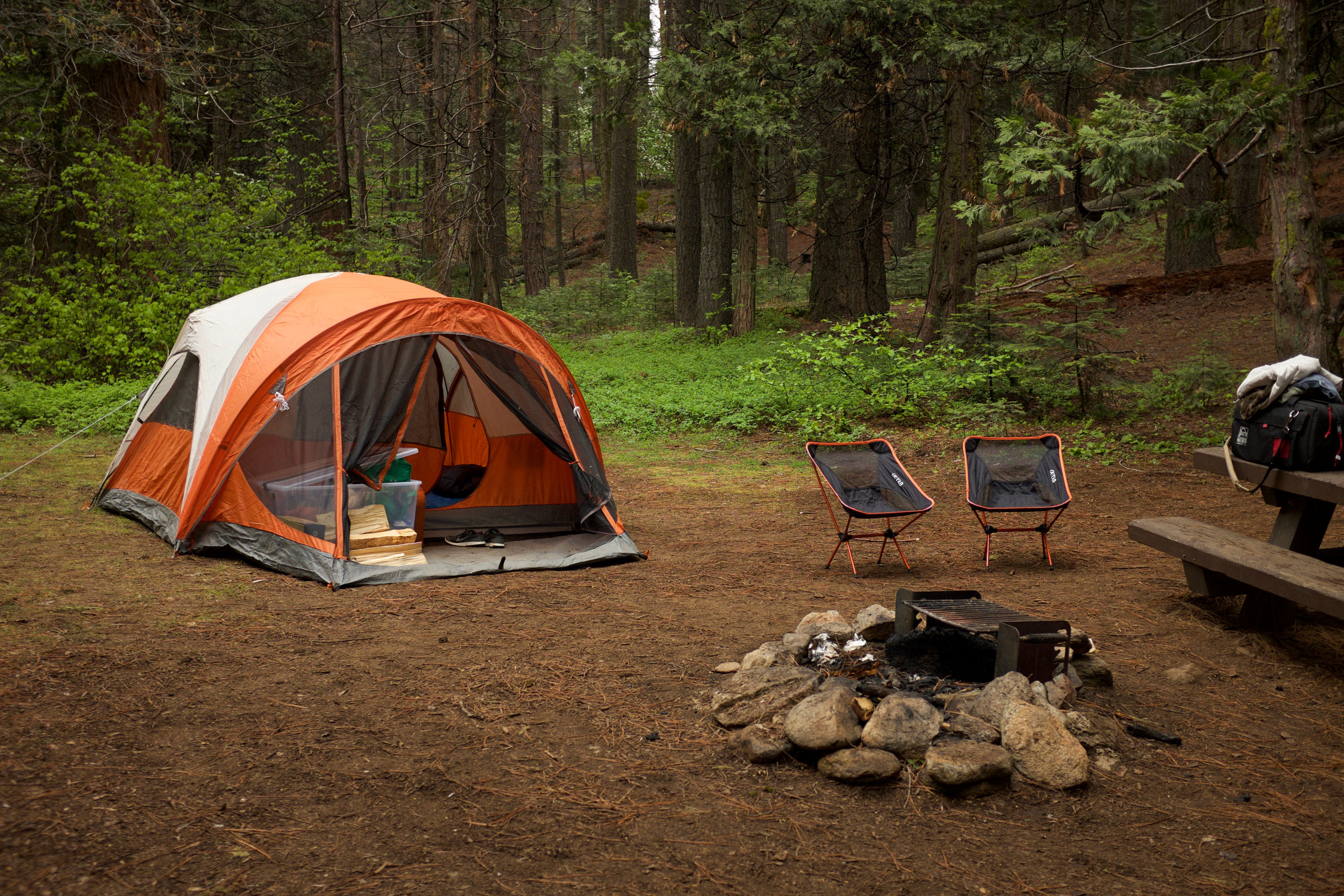 Nelder Grove Campsite Yosemite | Kaci Nicole.jpg