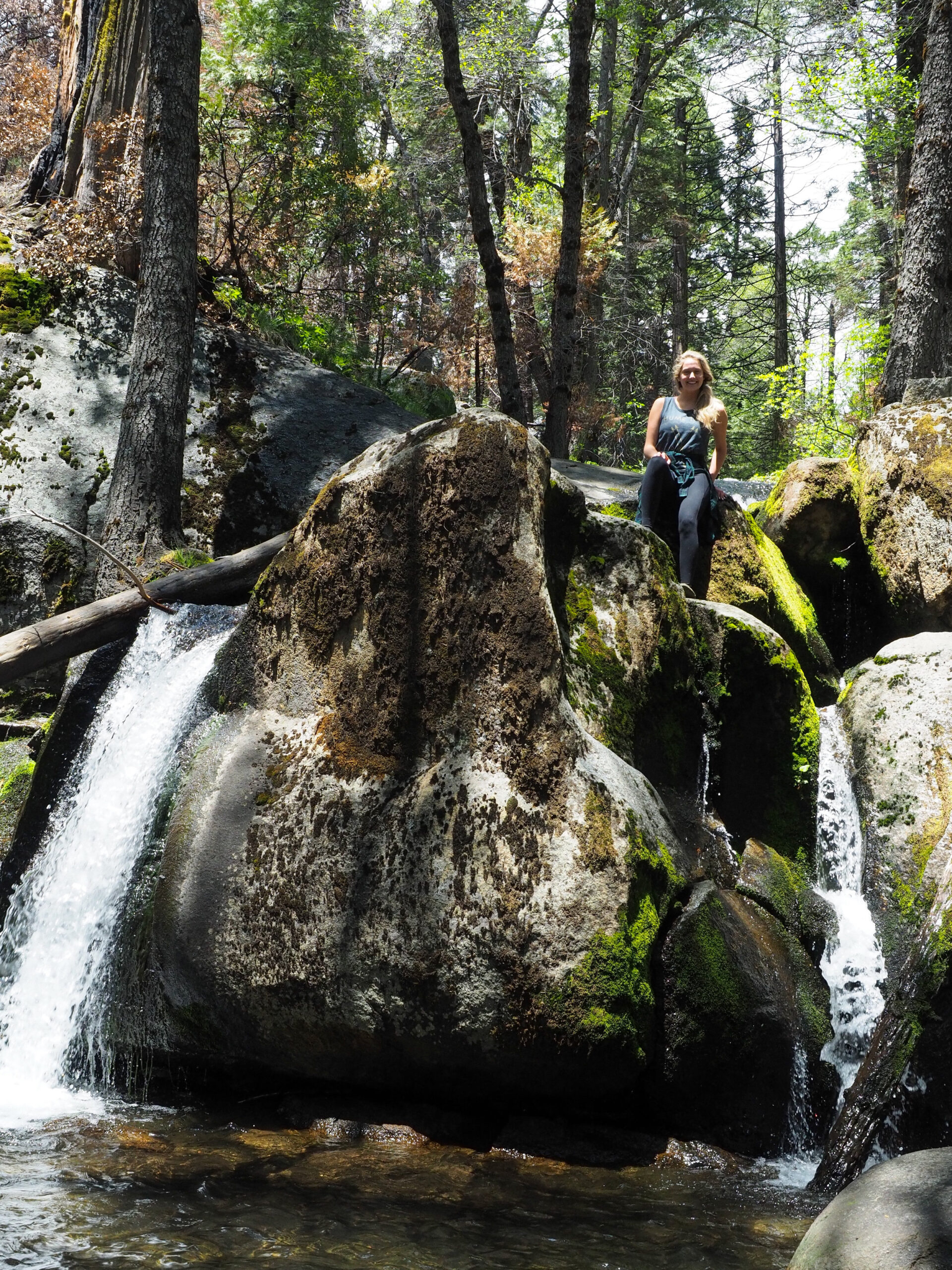 Nelder Grove Waterfall | Kaci Nicole.jpg