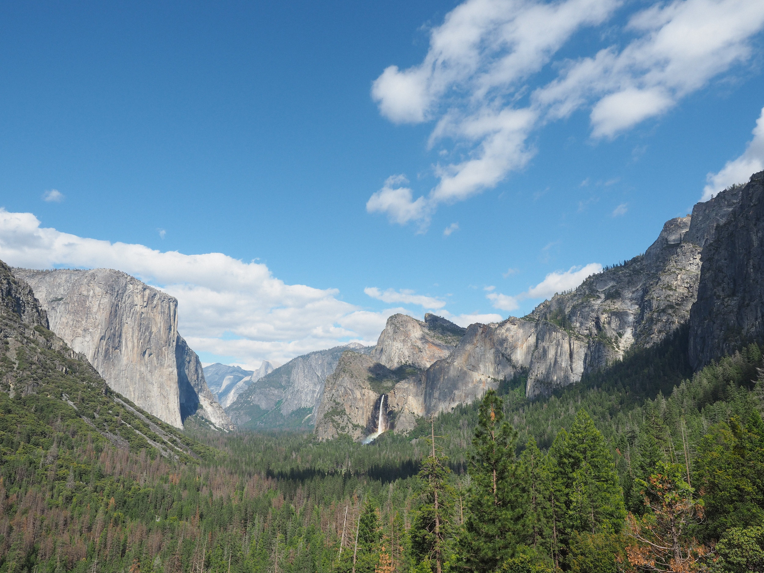 Yosemite Lookout Point | Kaci Nicole.jpg