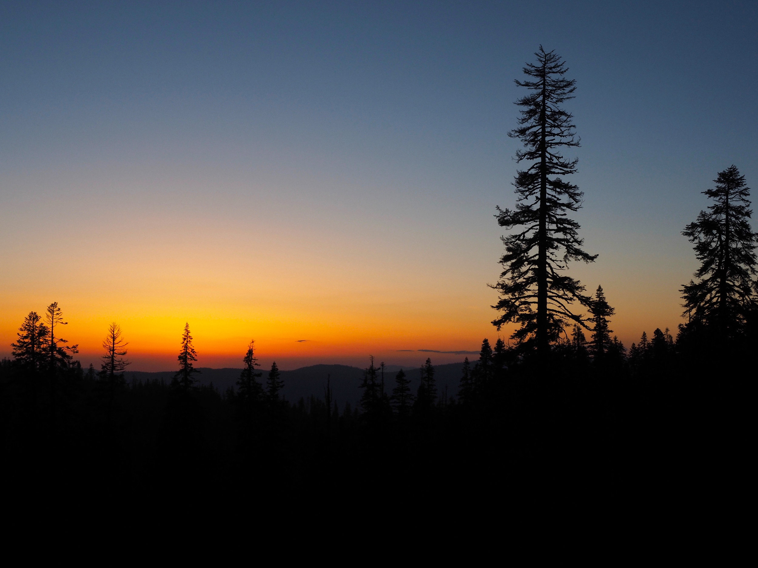 Yosemite Sunset | Kaci Nicole.jpg