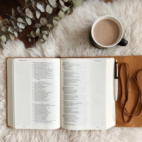 Daily Grace Co. Journaling Bible | Kaci Nicole.jpg
