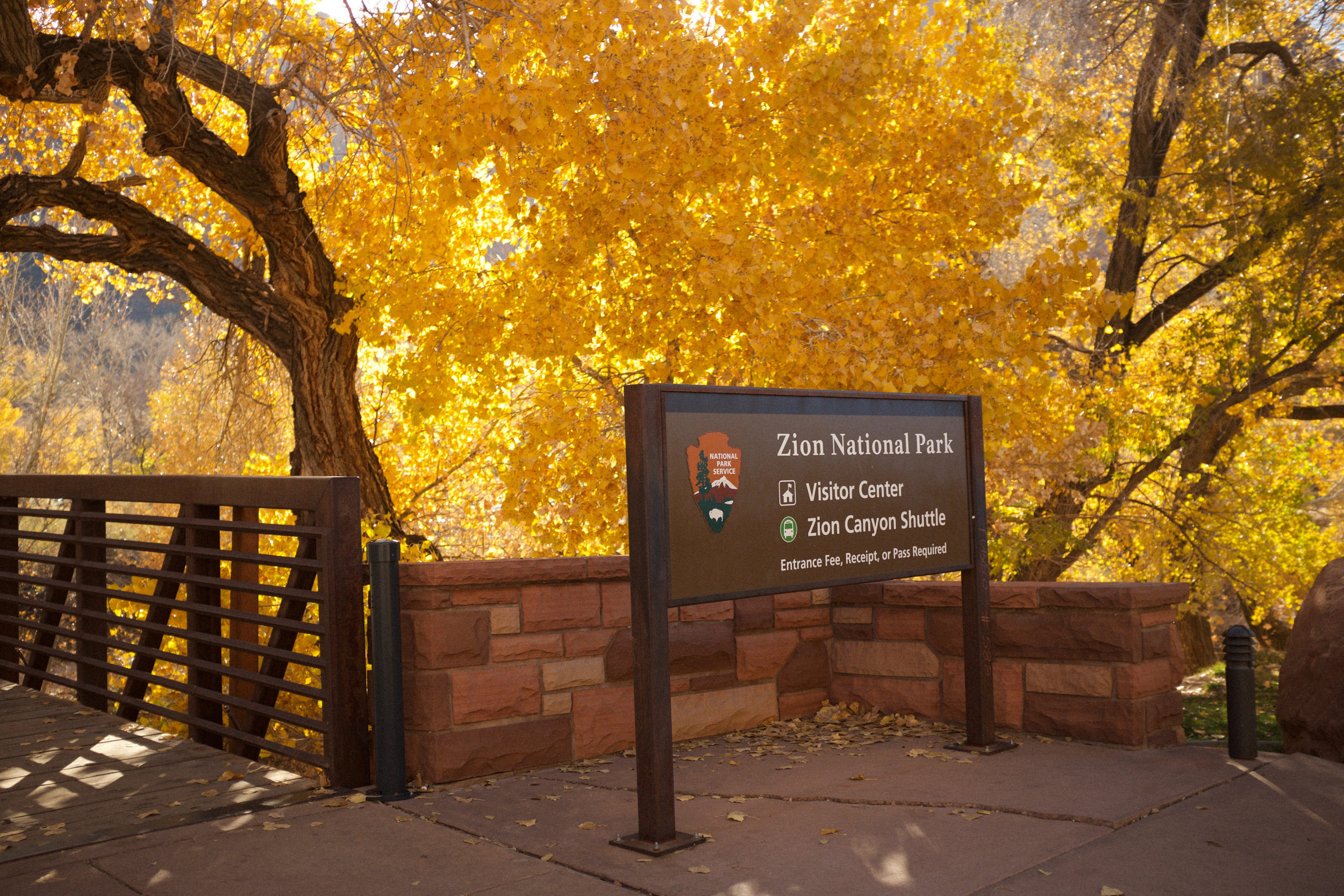 Zion National Park Entrance | Kaci Nicole.jpg