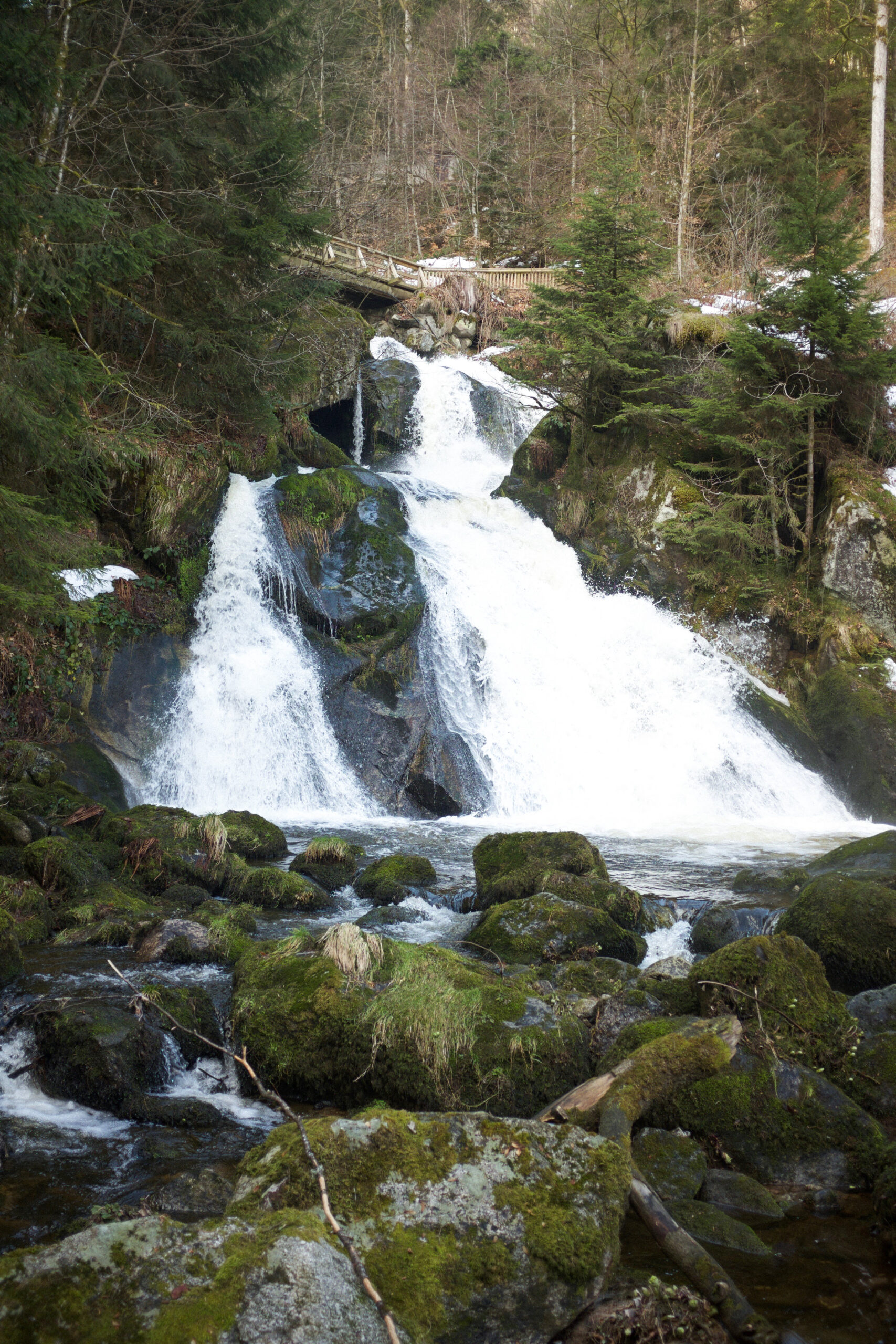 Black Forest Waterfall | Kaci Nicole.jpg
